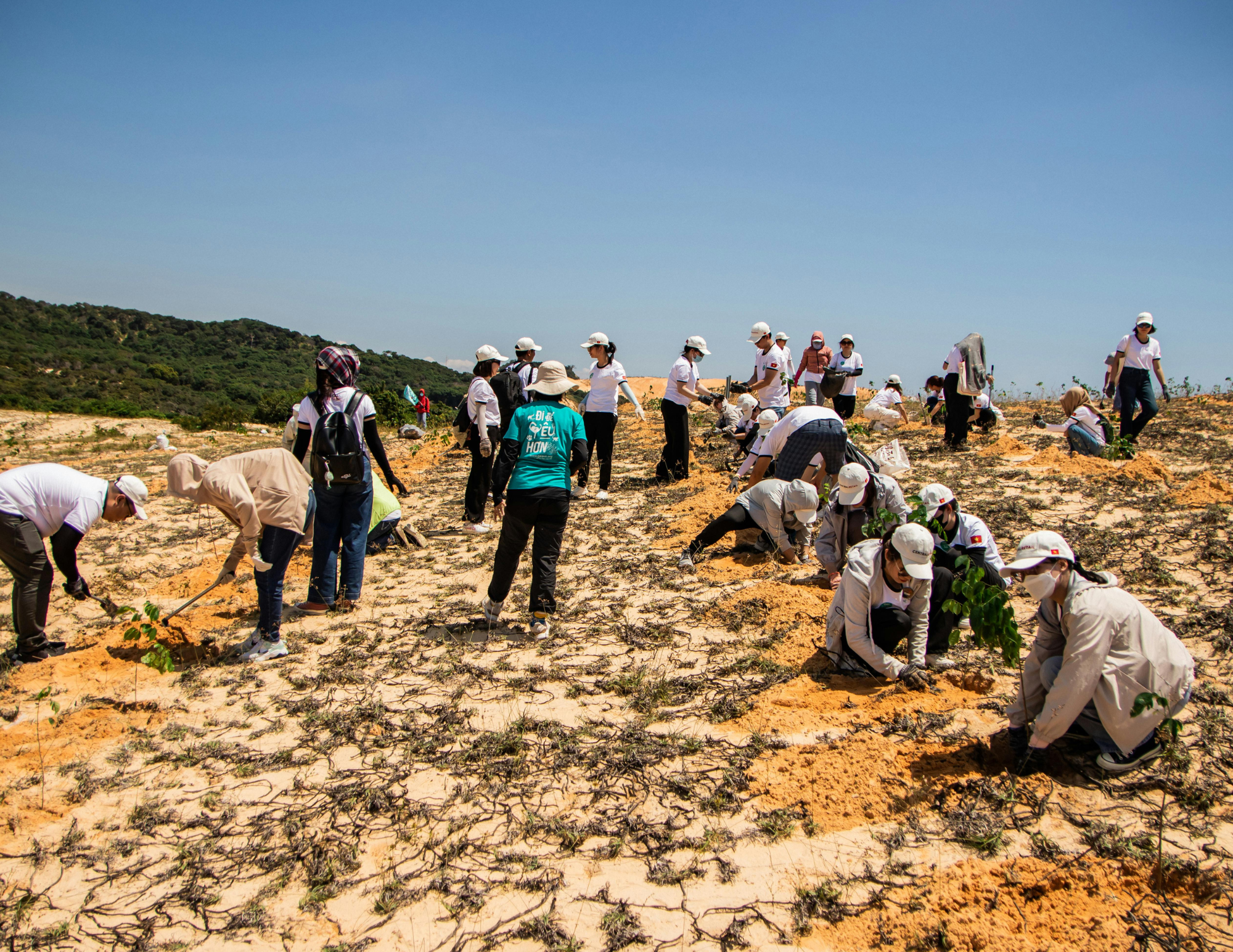 hmental health  (4).png