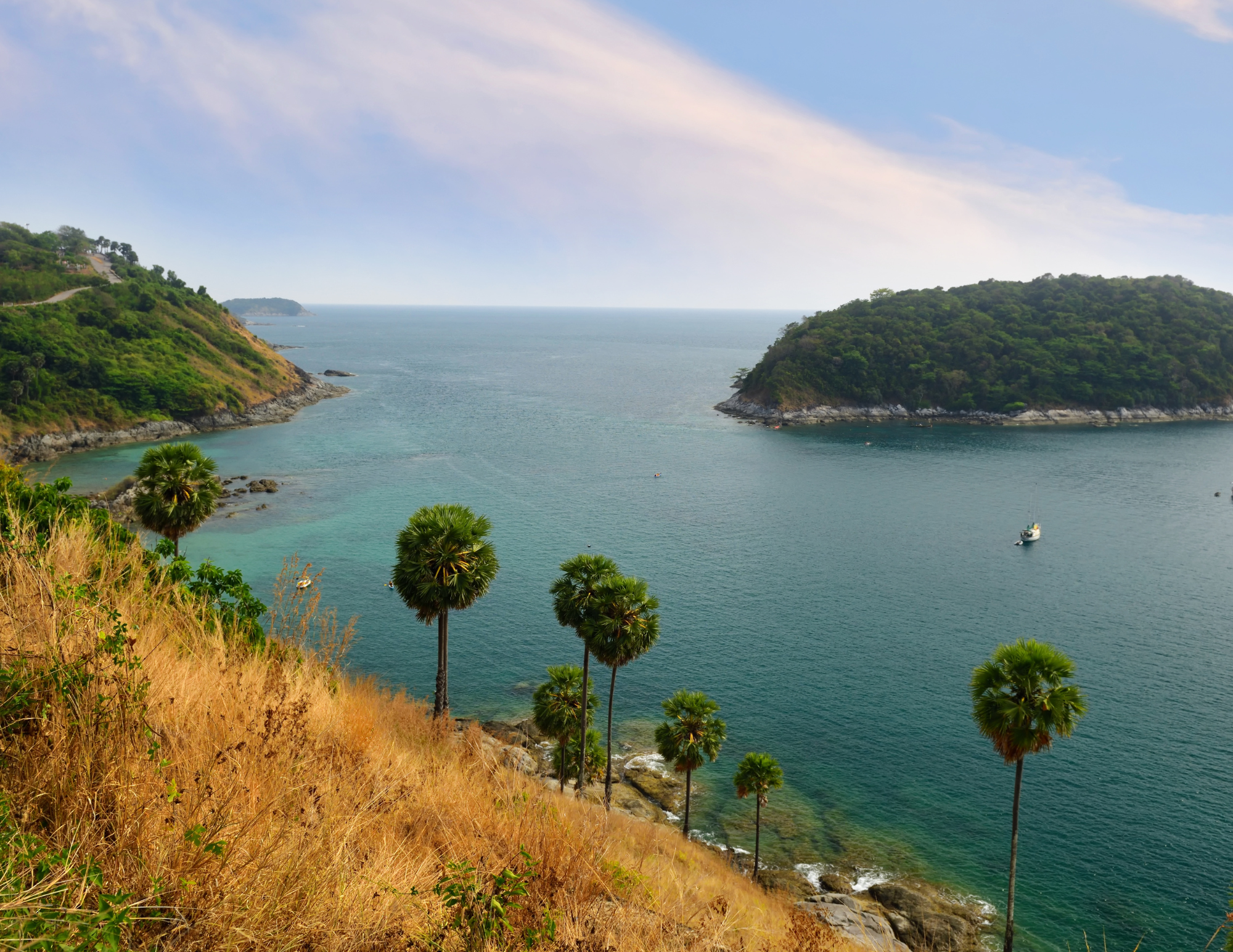 view points  (1).png