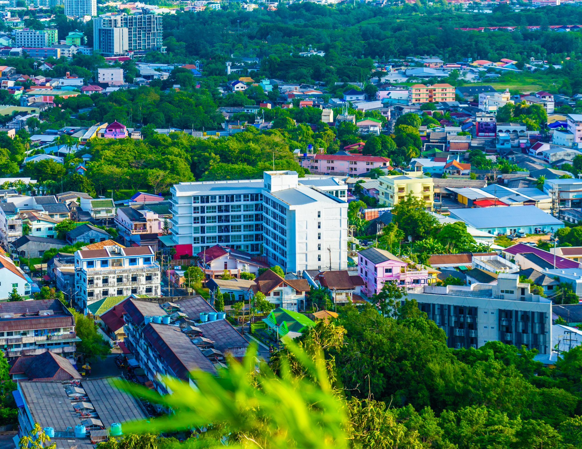 view points  (3).png