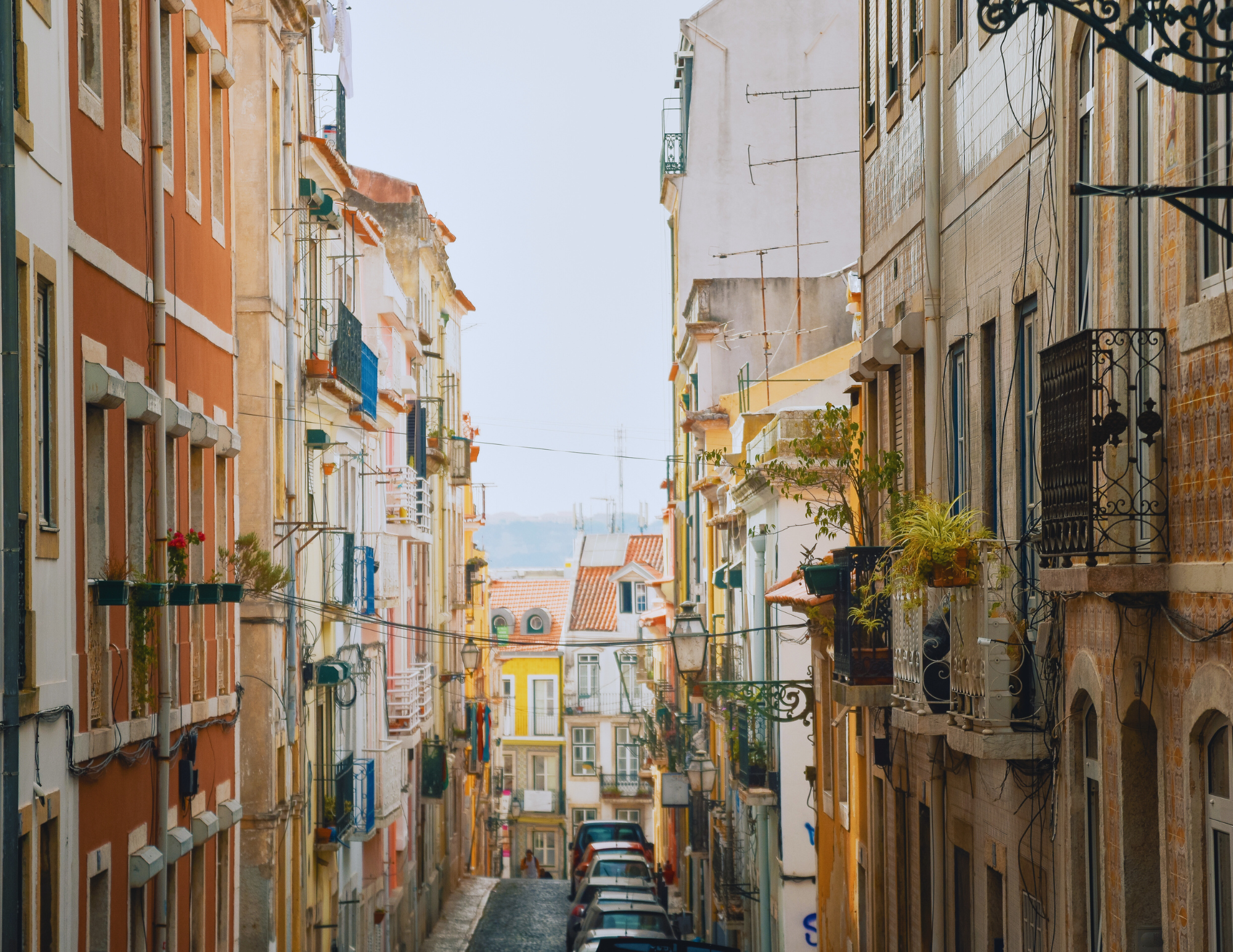 chiado neighborhood lisbon.png