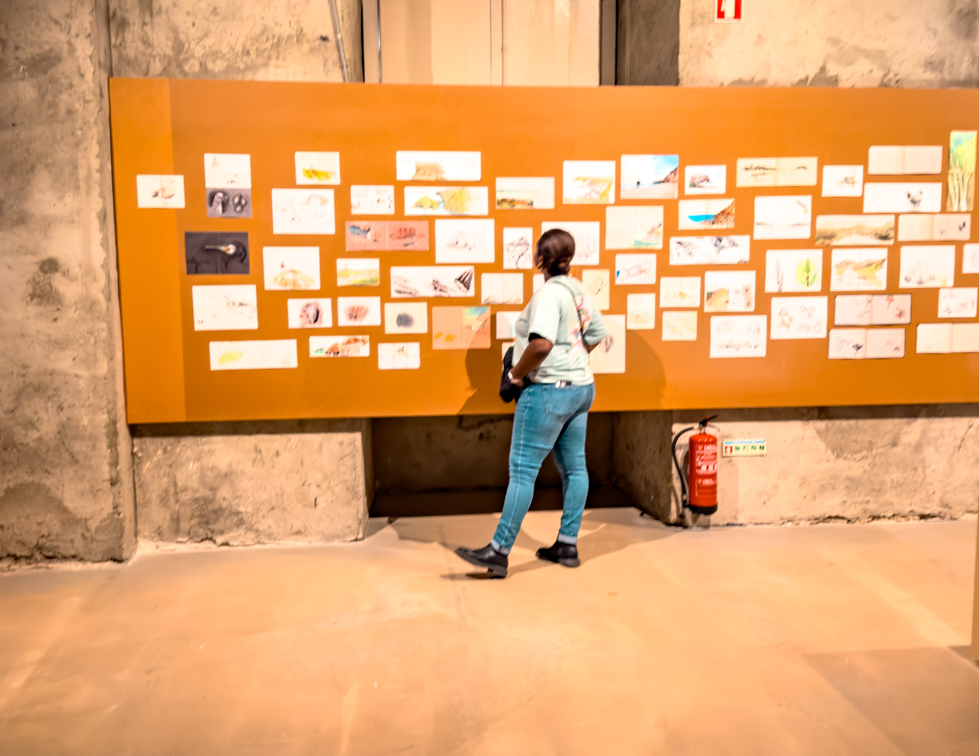 National Museum of Natural History and Science Lisbon.png