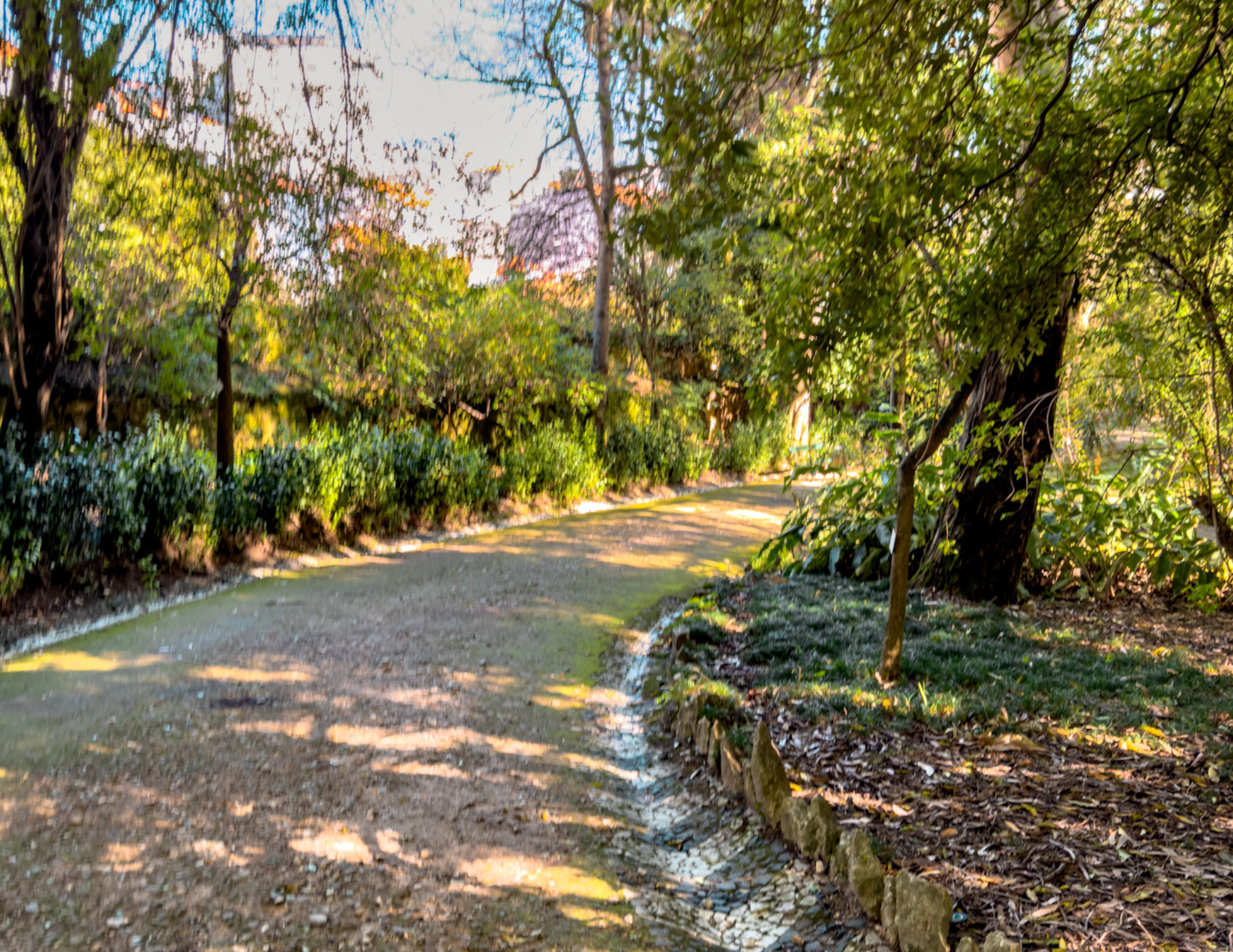 Lisbon Botanical Garden (1).png