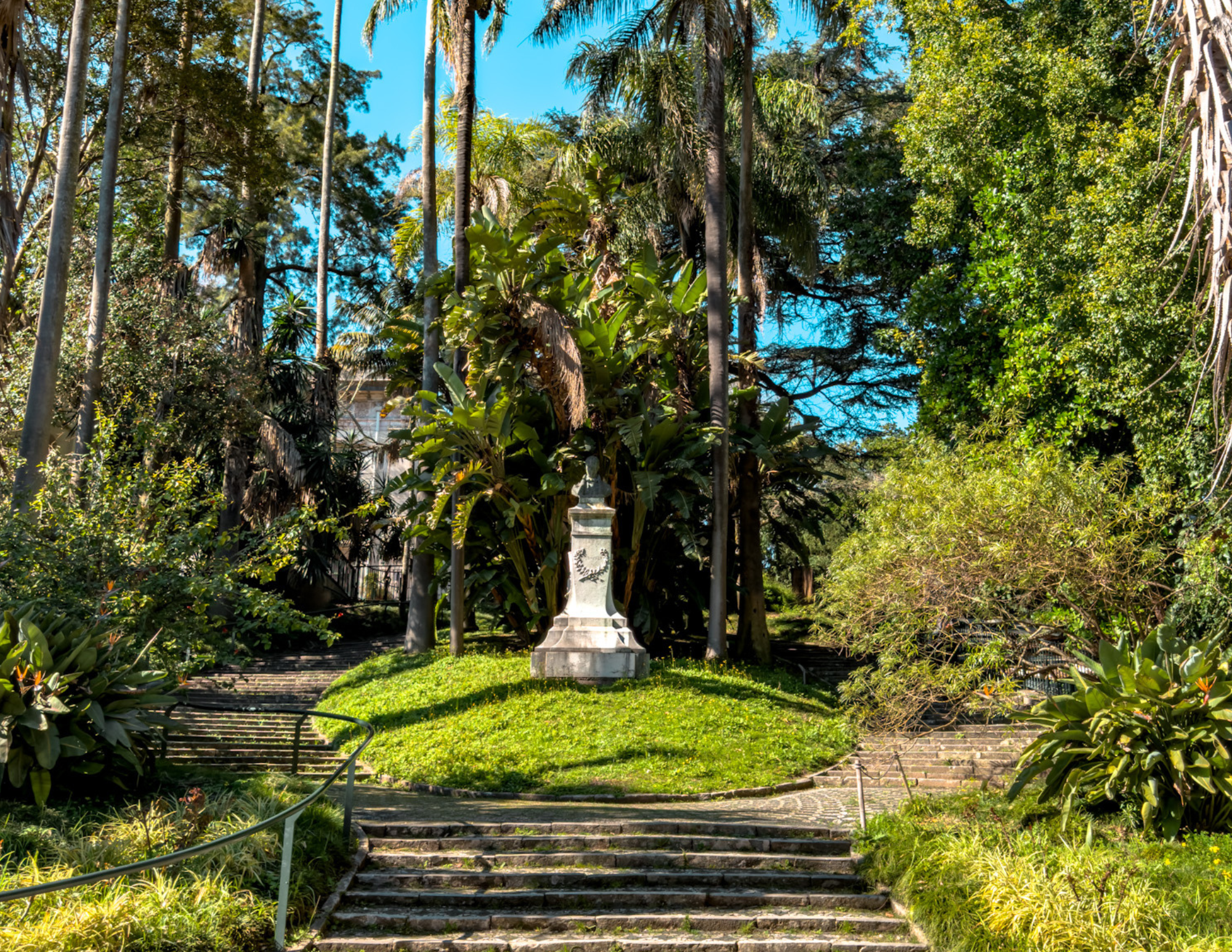 Lisbon Botanical Garden.png