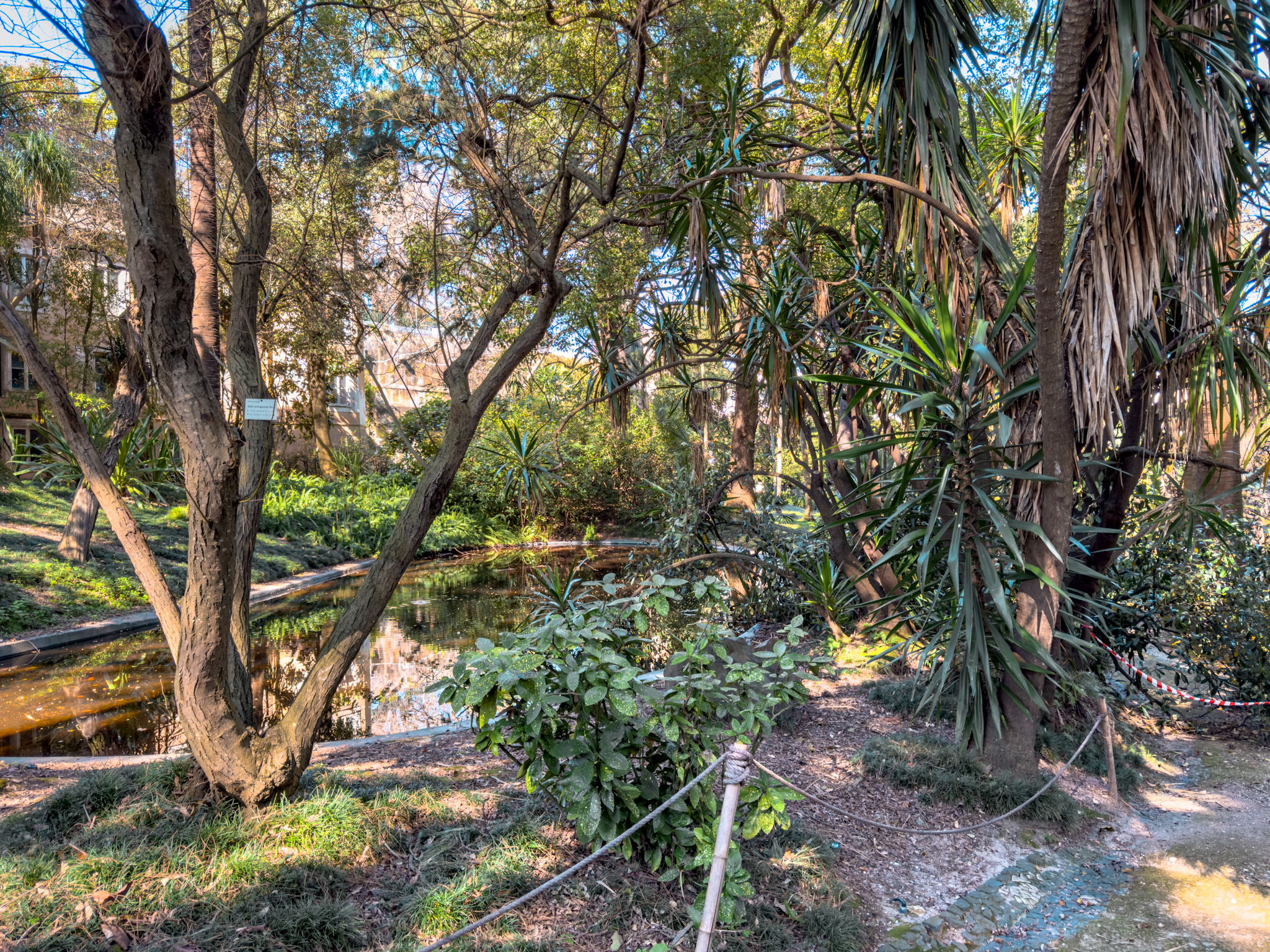 Lisbon Botanical Garden1.jpg