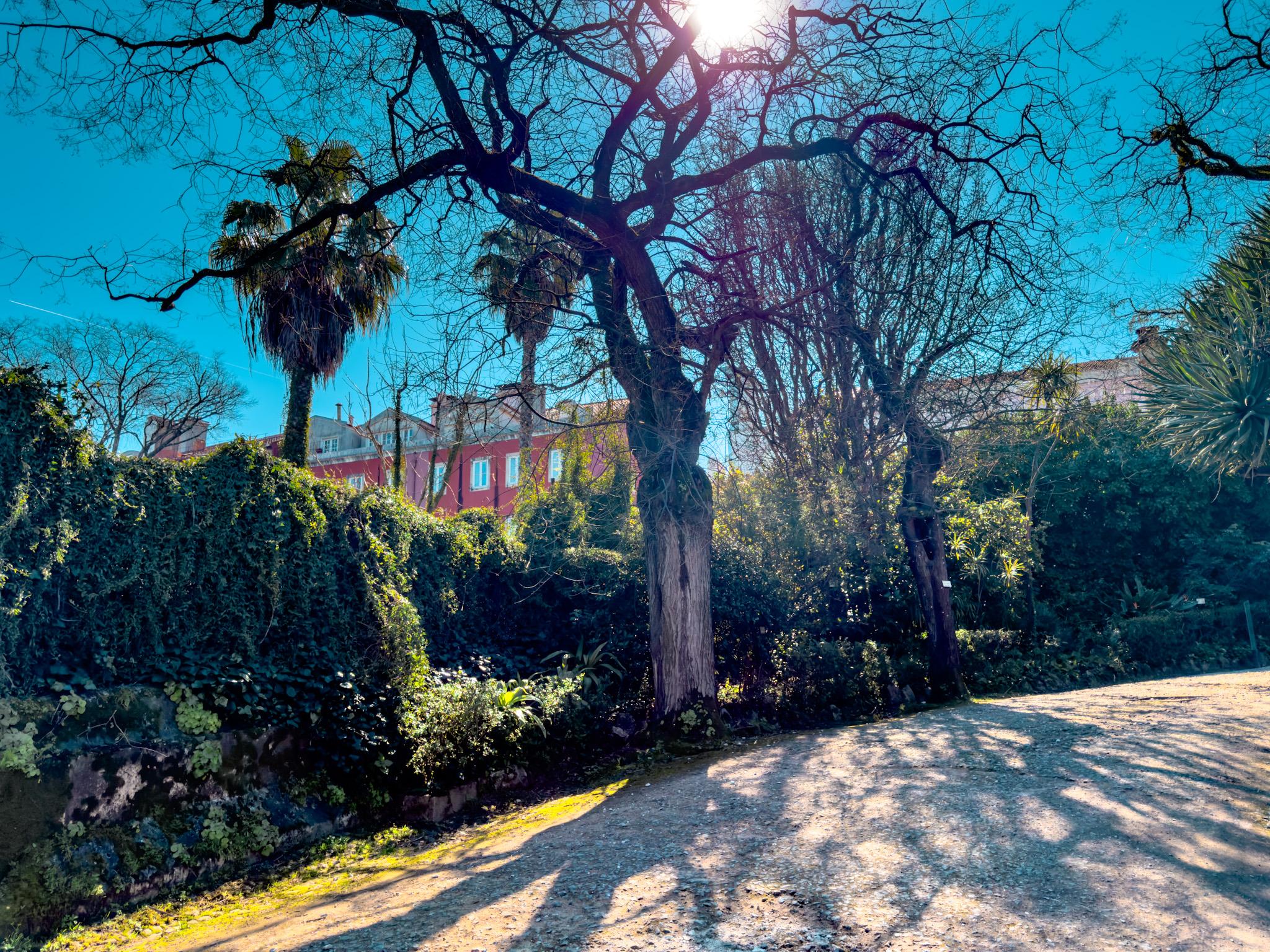 Lisbon Botanical Garden8.jpg