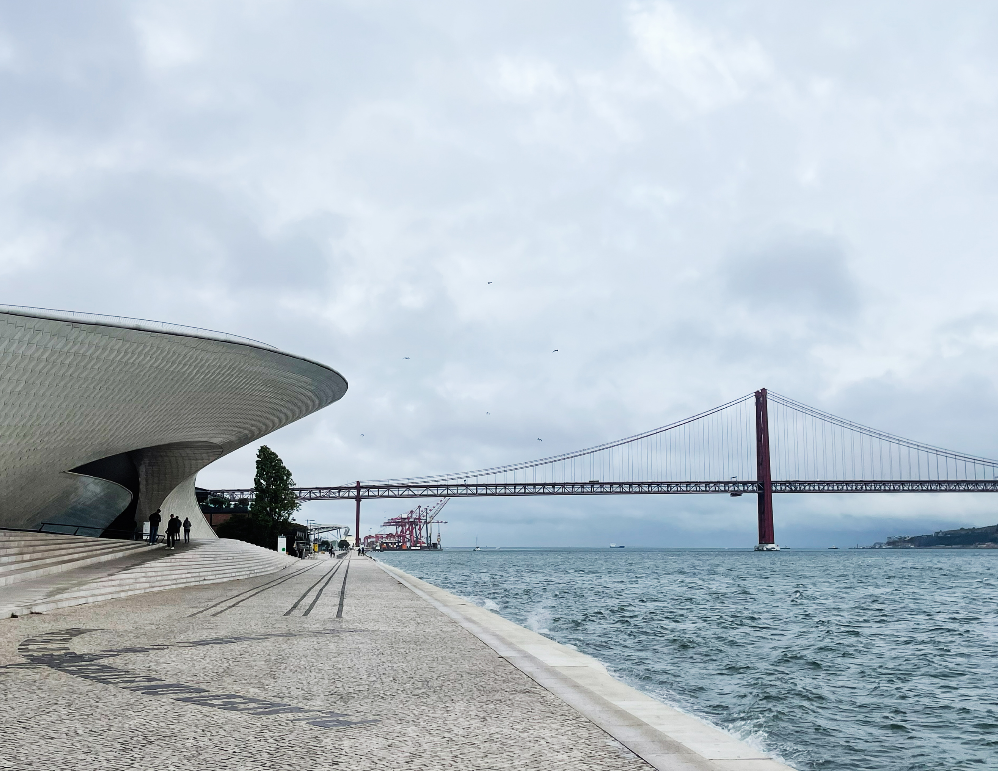 MAAT - Museum of Art, Architecture and Technology.png