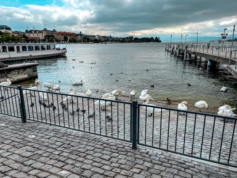 zurich.jpg